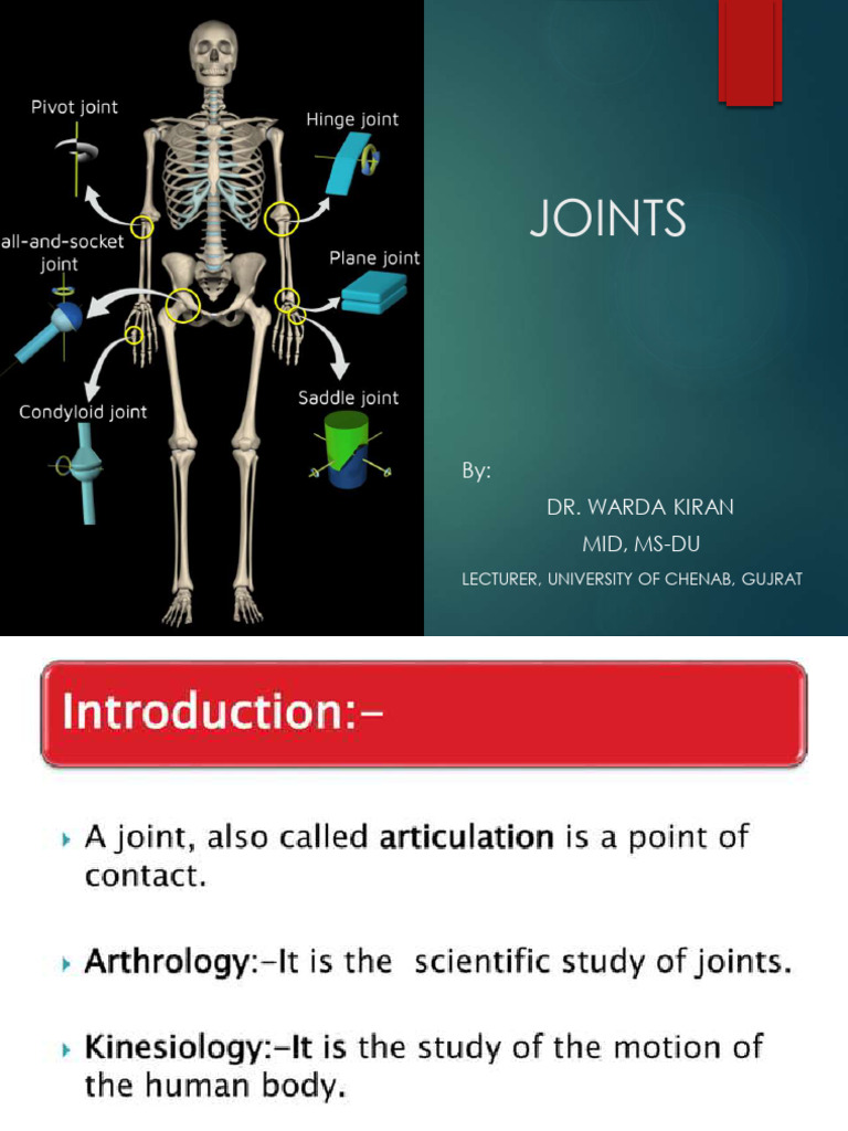Joints | PDF