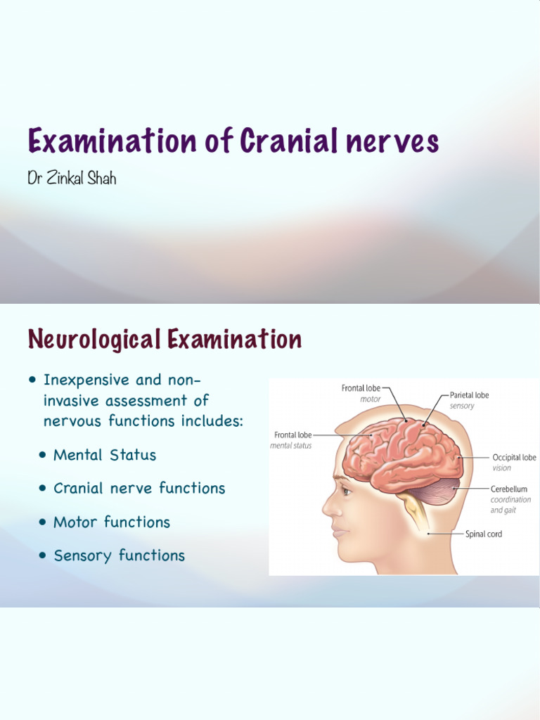 Comprehensive Cranial Nerve Examination Guide | PDF | Human Anatomy ...