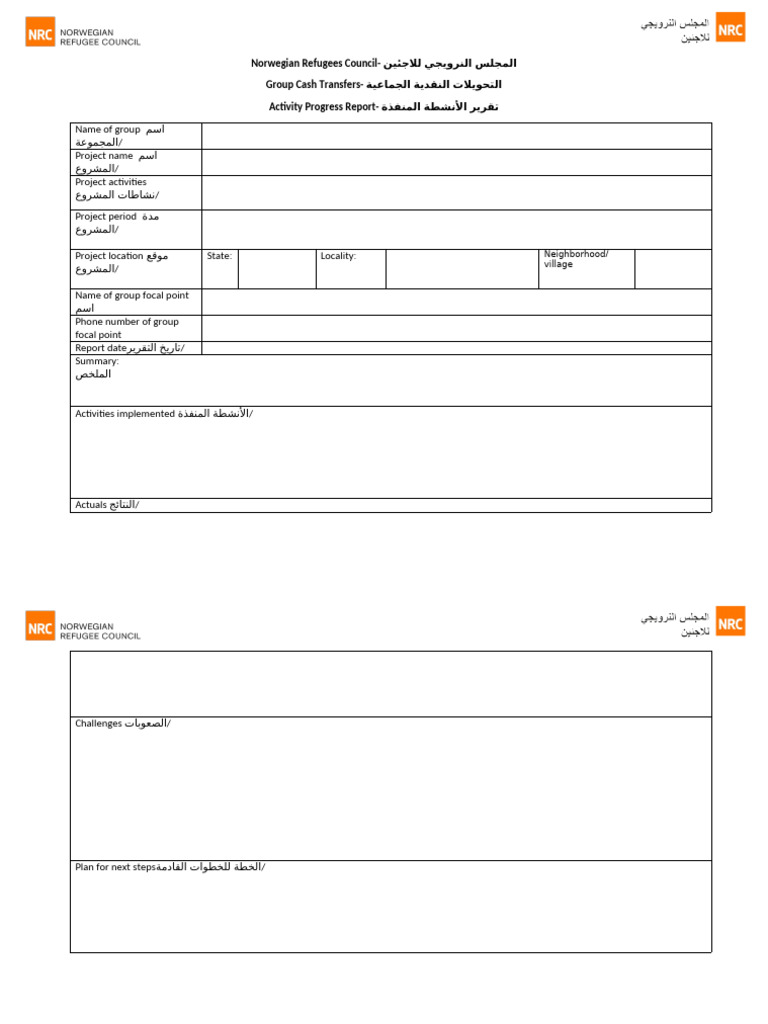 Annex - Progress Report Template - Light Version | PDF