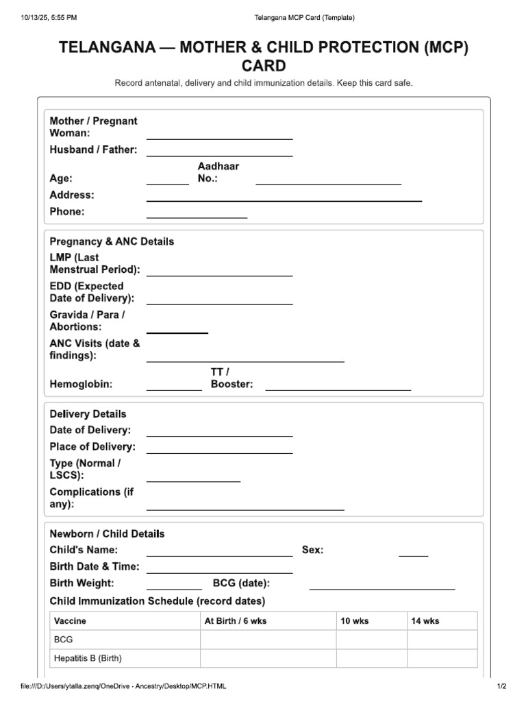MCP PDF | PDF