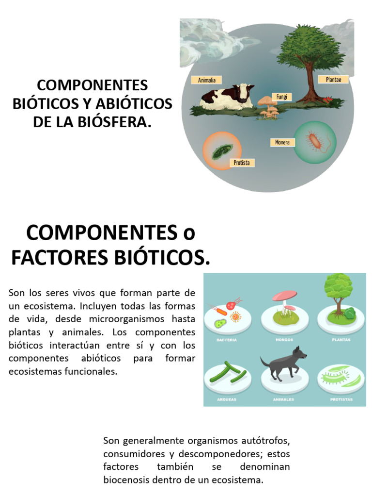 Componentes Bióticos y Abióticos en Ecosistemas | PDF | Clima | Agua