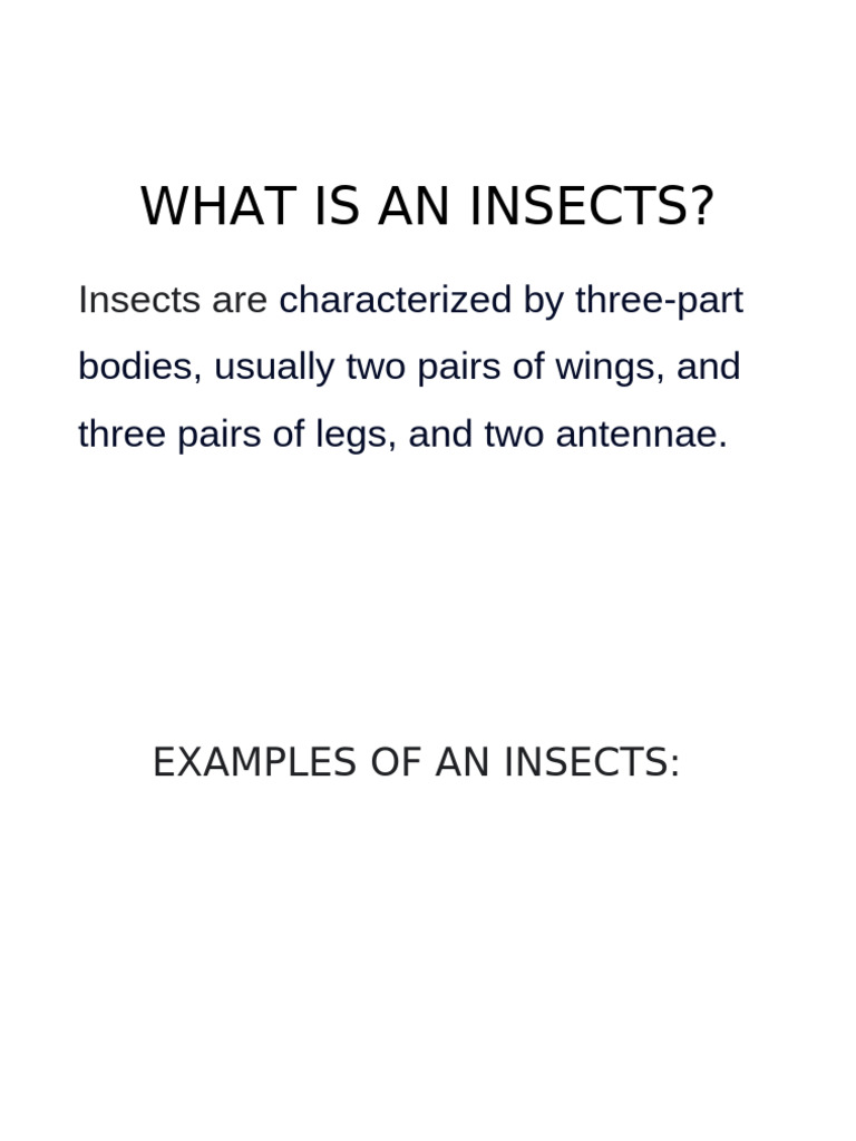 Understanding Insects: Types and Importance | PDF