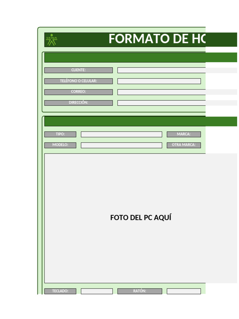 Formato de Mantenimiento de PC | PDF | USB | Periférico