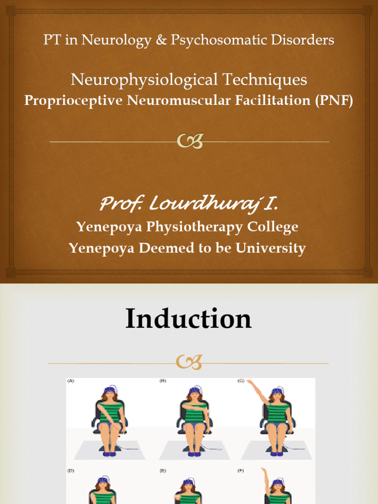 Understanding Proprioceptive Neuromuscular Facilitation | PDF | Muscle ...