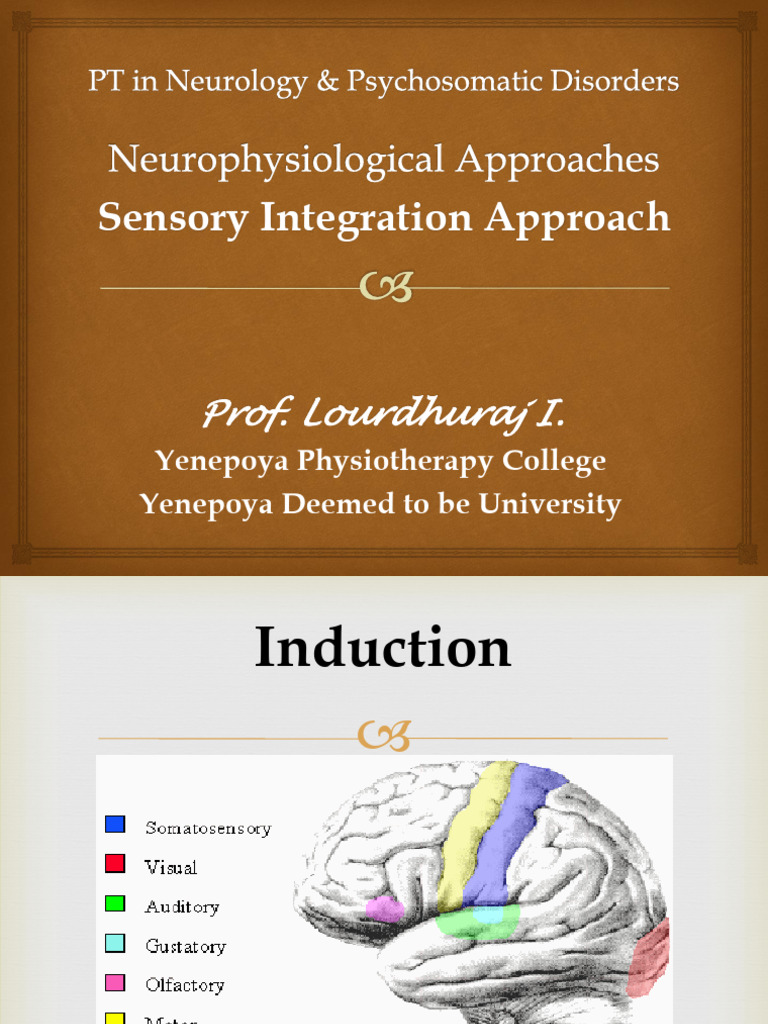 Sensory Integration Therapy Overview | PDF | Sensory Processing ...