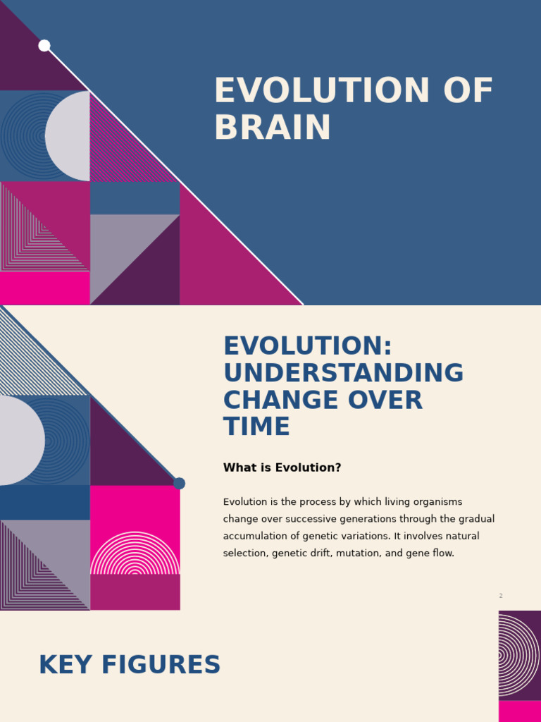 Session 2 (Evolution of Brain) | PDF | Natural Selection | Brain