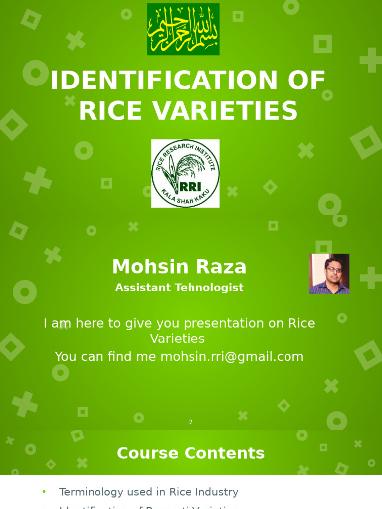 Identifying Rice Varieties and Standards | PDF | Rice