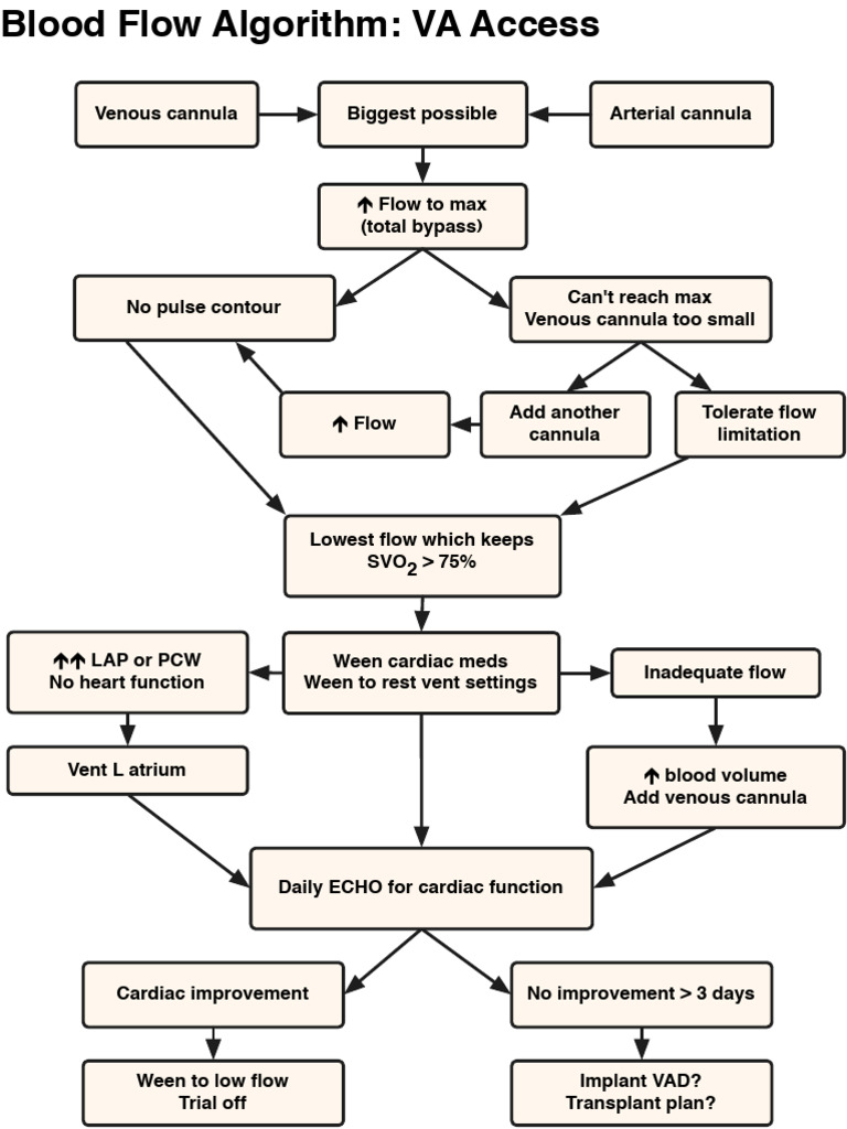 Blood Flow Algorithm for VA Access | PDF