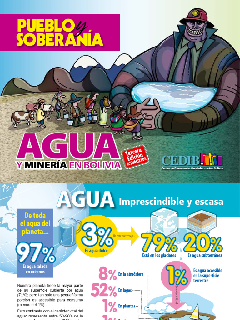 Analisi de Los Efectos Del Agua en La Mineria | PDF | Agua | Minería