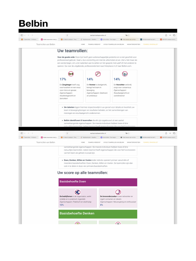 Belbin | PDF