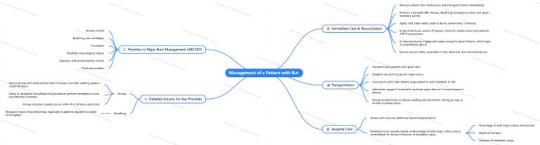 NoteGPT MindMap 1759433921176 | PDF