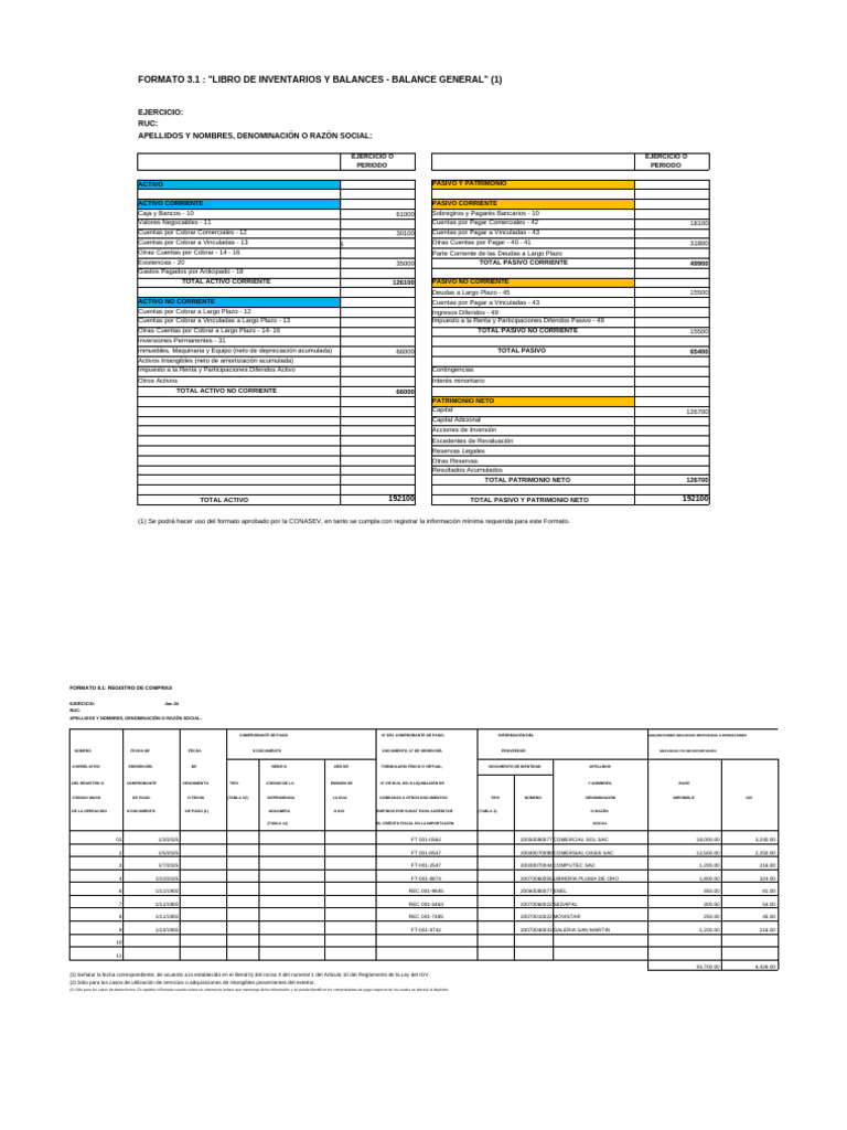 Formatos Contables para Empresas 2024 | PDF | Contabilidad | Activo fijo
