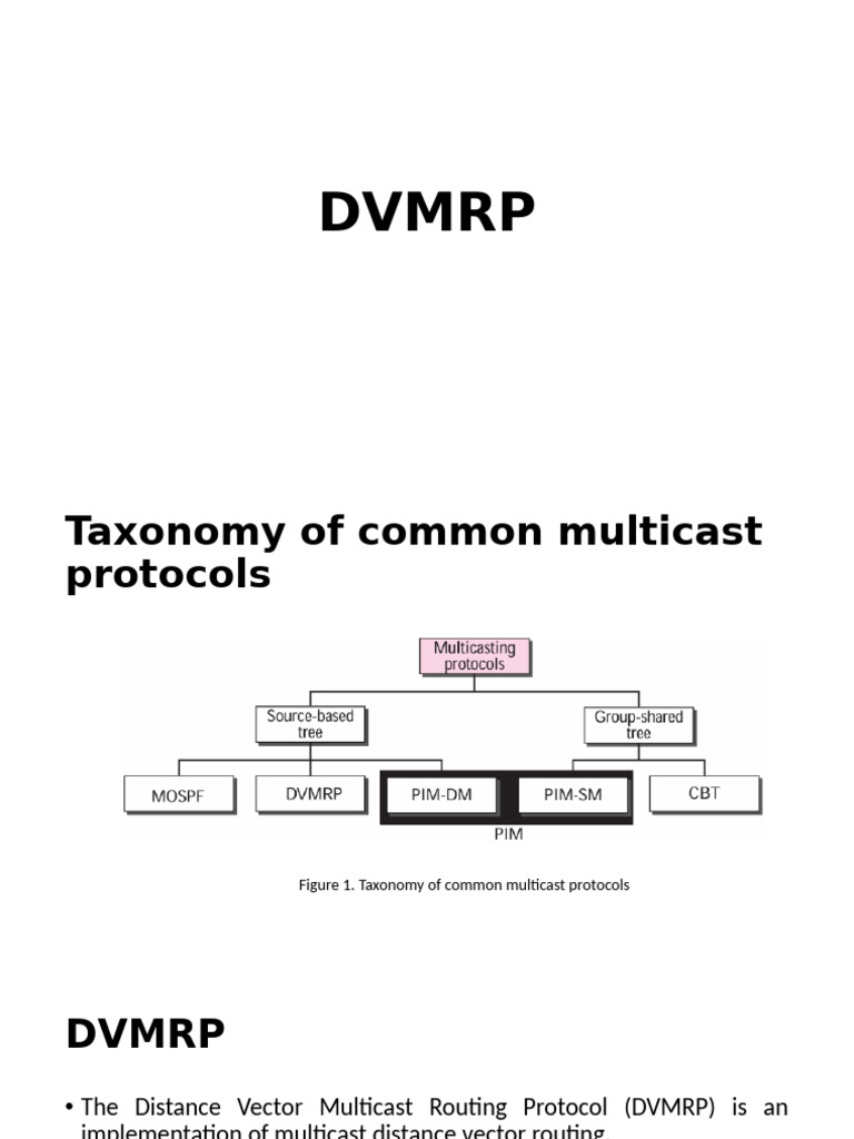 Overview of DVMRP Protocol | PDF