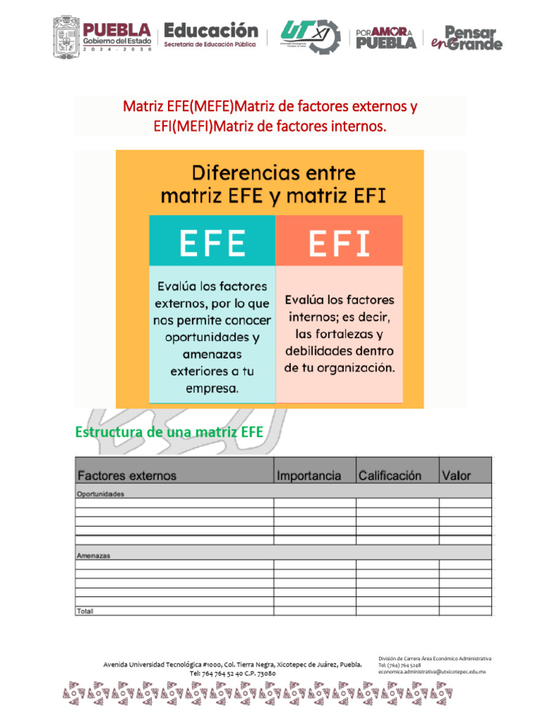 Matrices EFE y EFI: Guía Práctica | PDF | Matriz (Matemáticas) | Economias