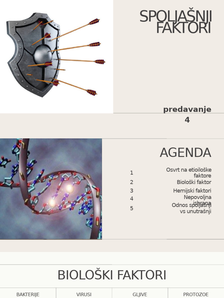 Spoljašnji Faktori | PDF