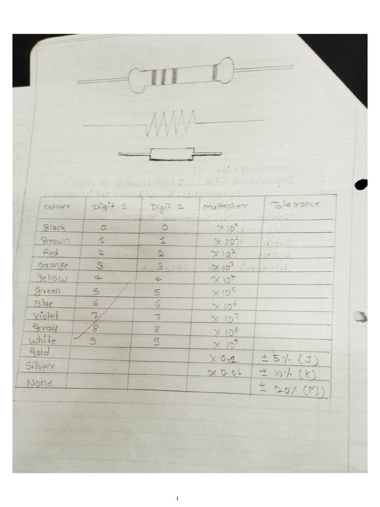 (Bee) Experiment 1 | PDF