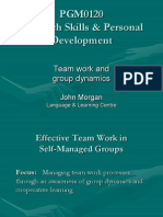PGM0120 Research Skills & Personal Development: Team Work and Group Dynamics