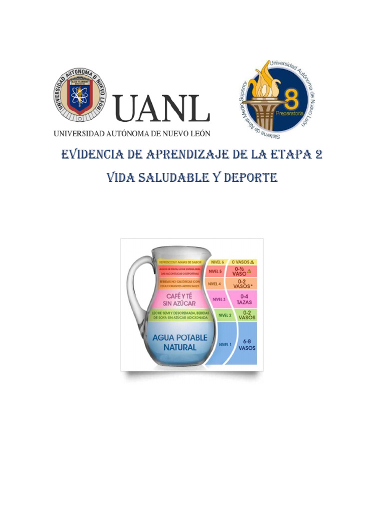 MGR - Evidencia de Aprendizaje de La Etapa 2 | PDF