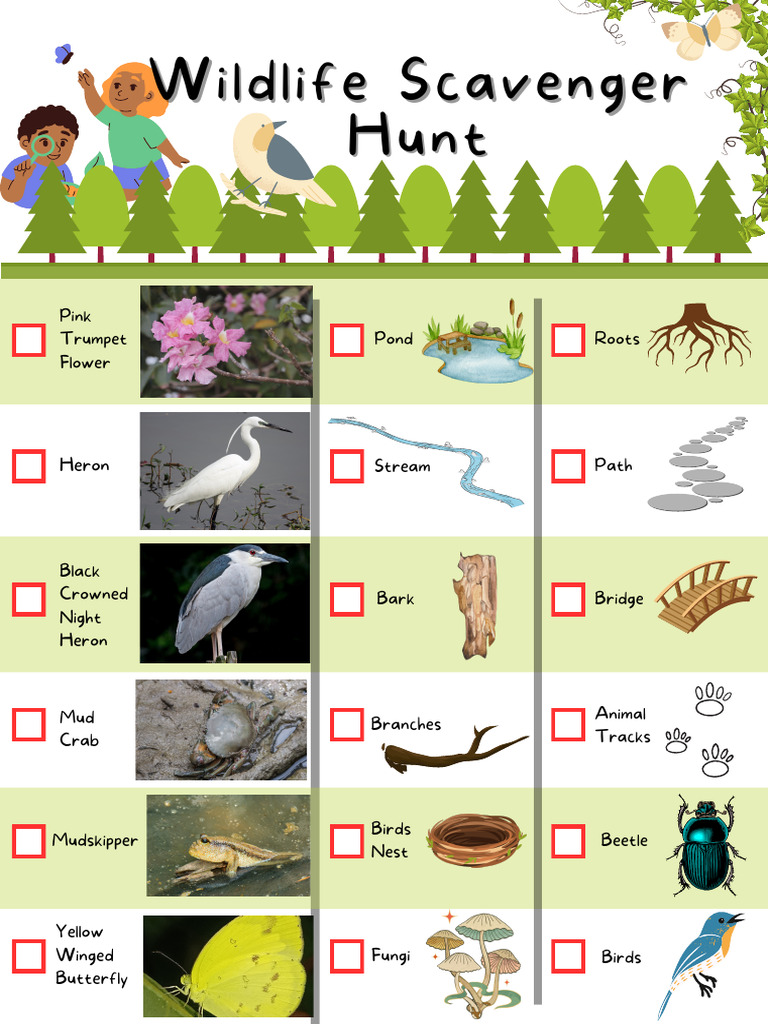 Wildlife Scavenger Hunt Guide | PDF