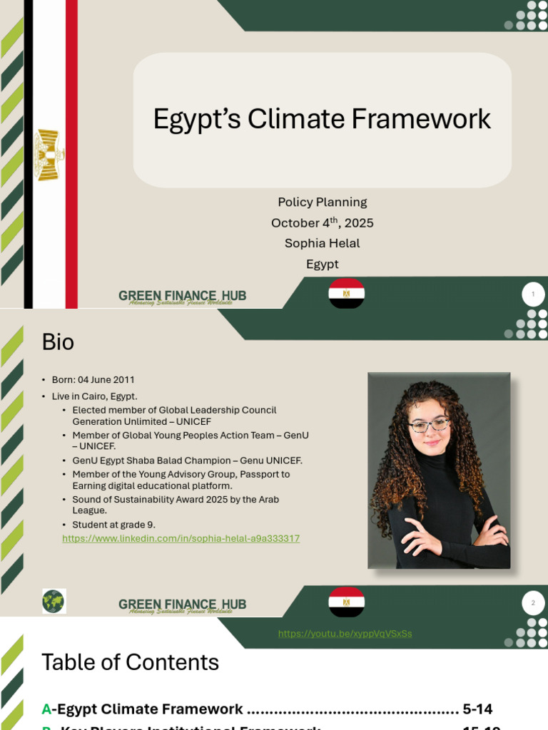 Egypt's Climate Policy Framework Overview | PDF | Climate Change