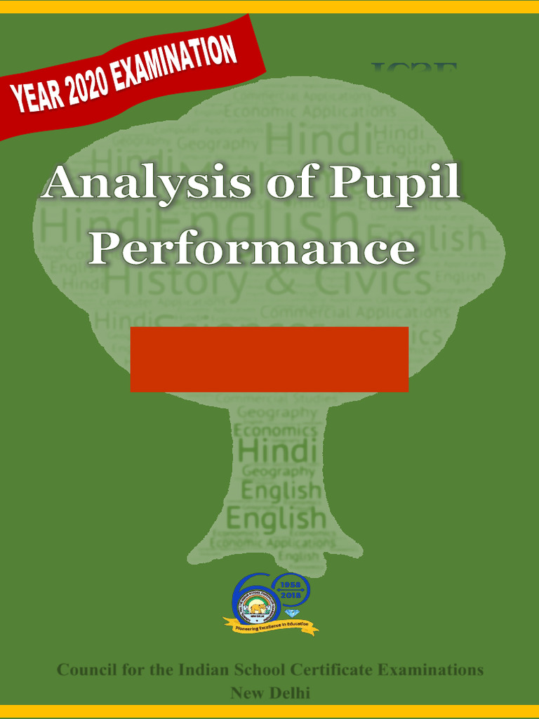ICSE 2020 Pupil Performance Analysis | PDF | Essays | Linguistics