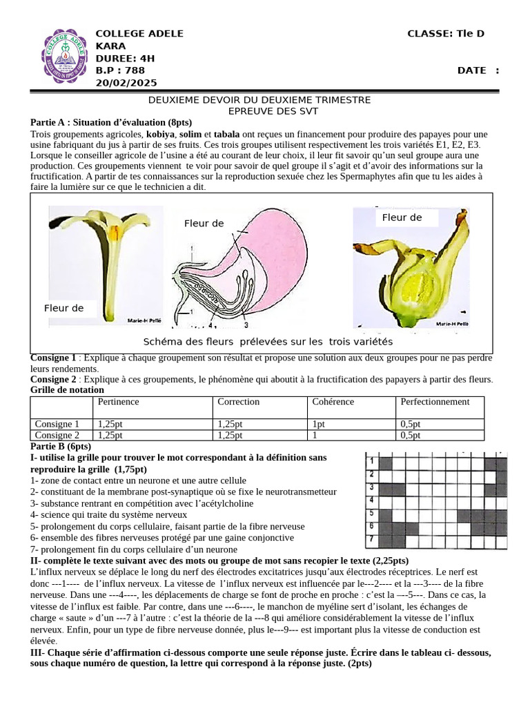 Devoir SVT Tle D : Fructification et Synapses | PDF | Contraction du ...
