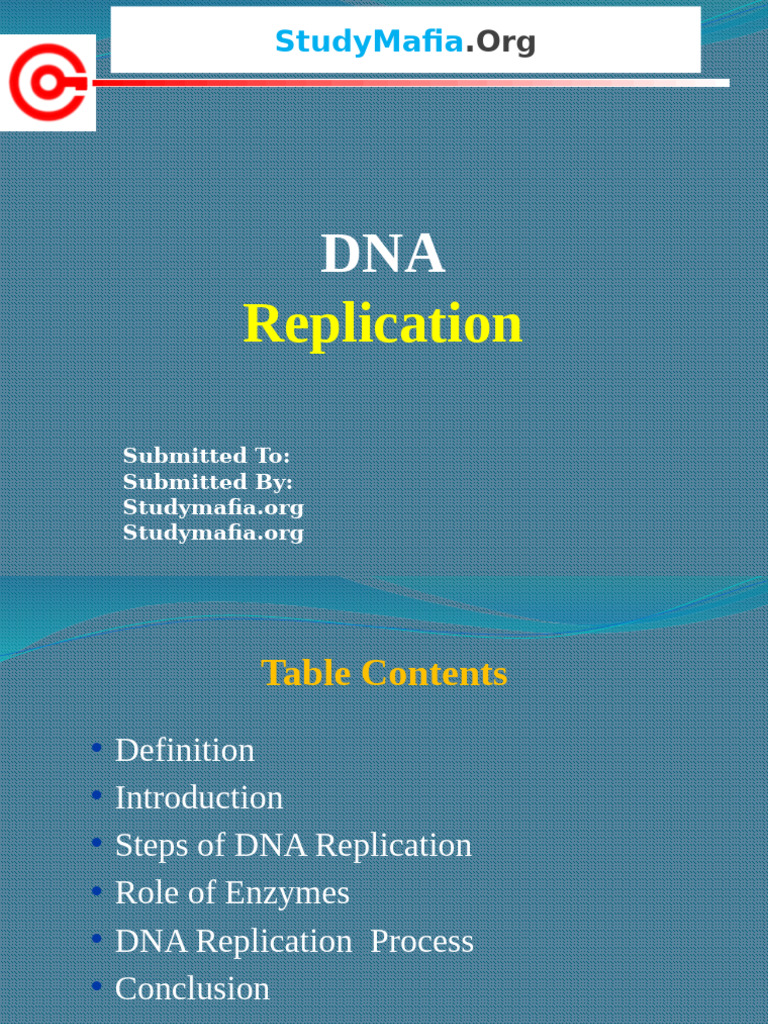 DNA Replication Process Explained | PDF | Dna Replication | Dna