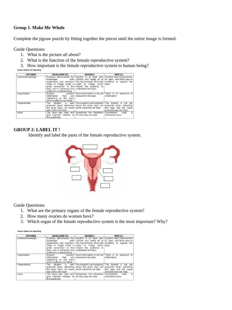 Activity Sheet On Reprouctive System | PDF