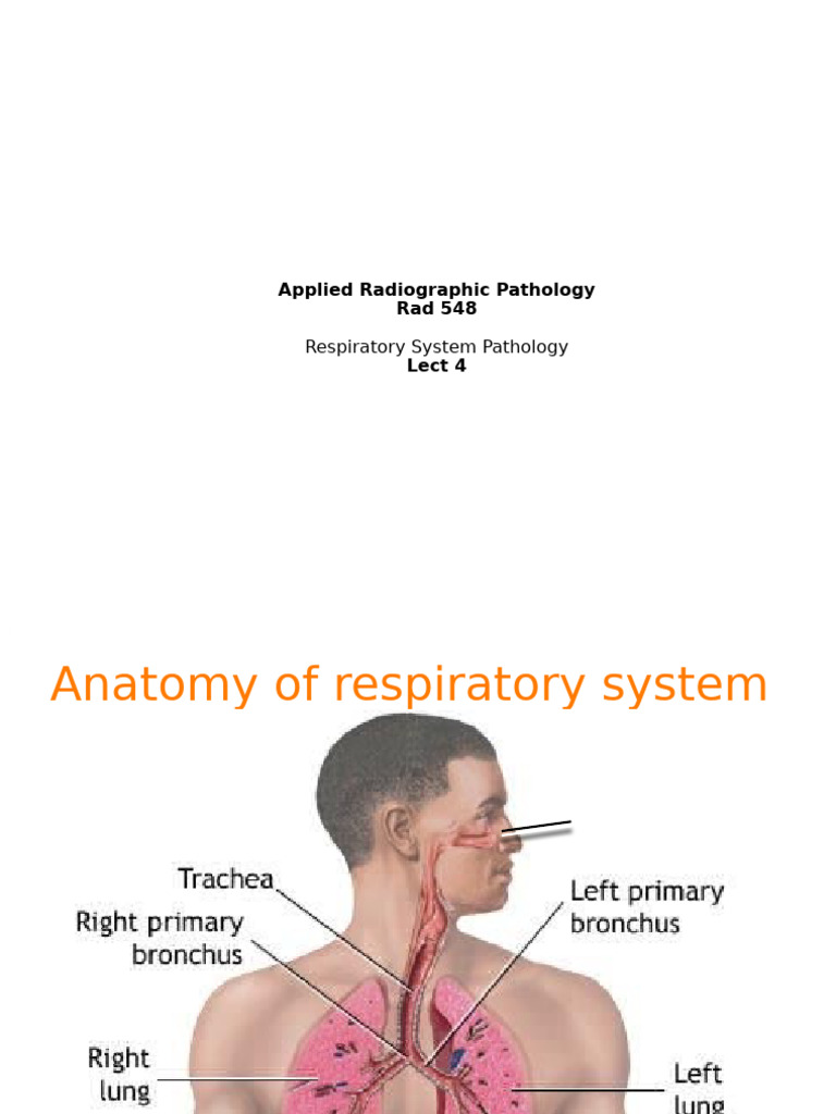 Respiratory System Pathology Overview | PDF | Respiratory Diseases | Lung