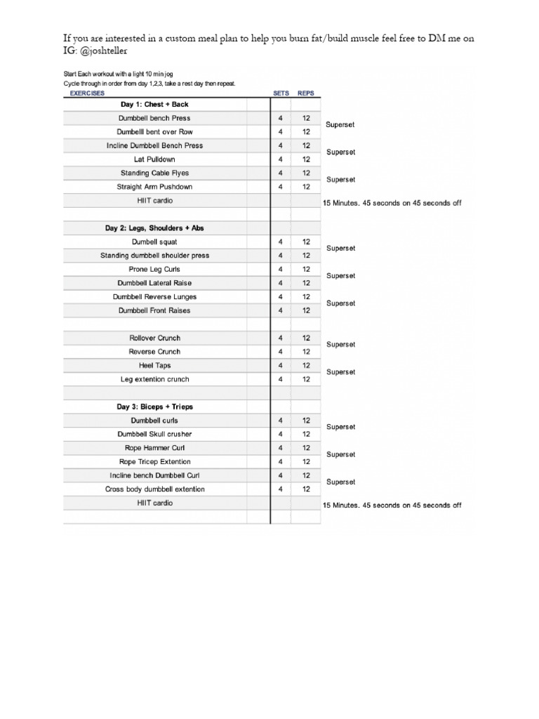 Free Workout Plan Final | PDF