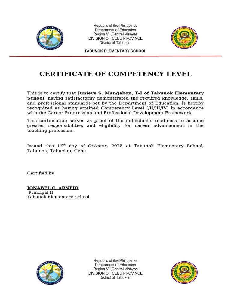 Certificate of Competency Levels | PDF | Vocational Education ...
