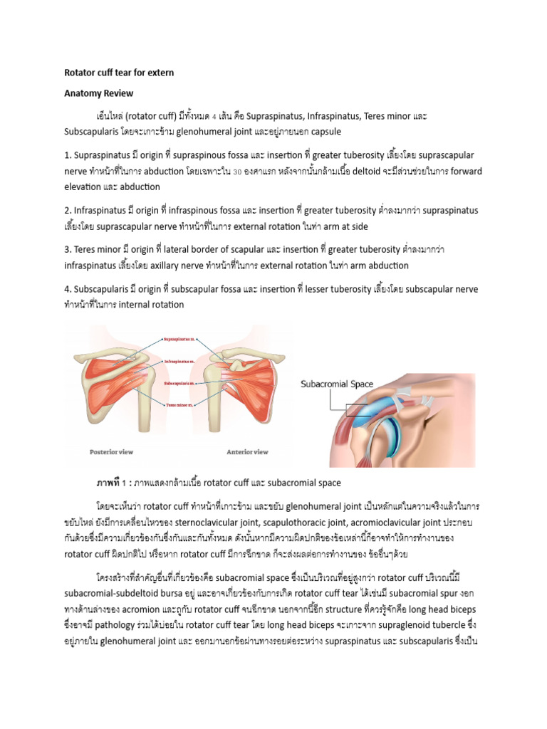 Rotator Cuff Tear For Extern | PDF