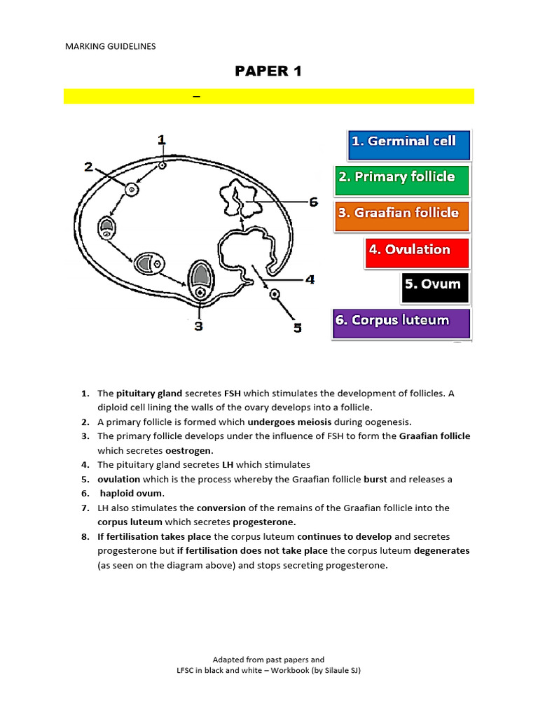 LFSC Last Push Highveld Ridge Manual 2024 Memo | PDF | Luteinizing ...