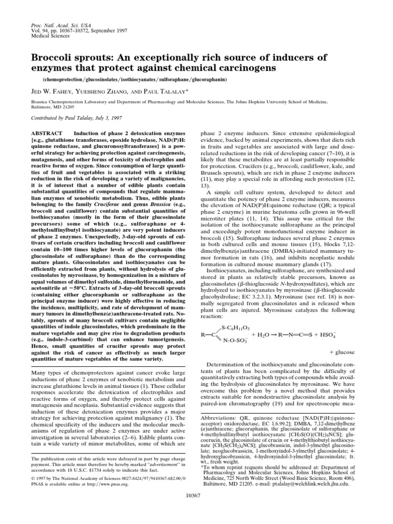 John Hopkins Broccoli Sprout Research PDF Broccoli Chemistry