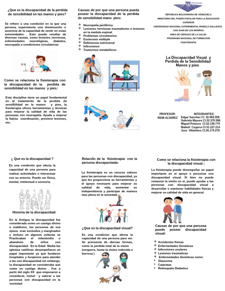 Triptico de La Discapacidad | PDF | Invalidez | Terapia física