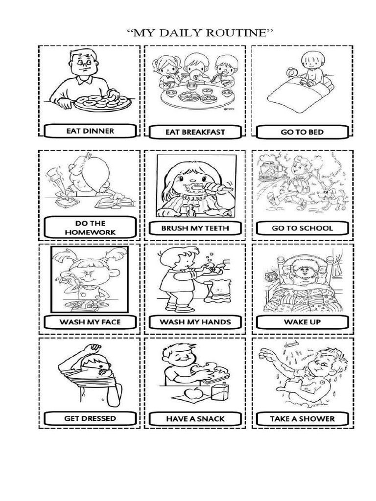 Daily Routine | PDF