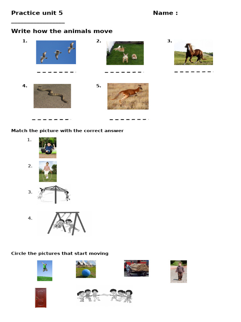 Animal Movement Practice Unit 5 | PDF
