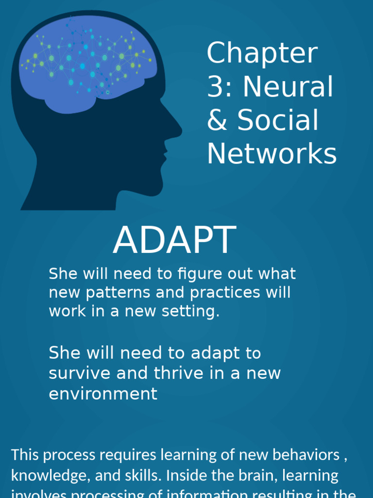 Neural Networks and Social Learning Insights | PDF