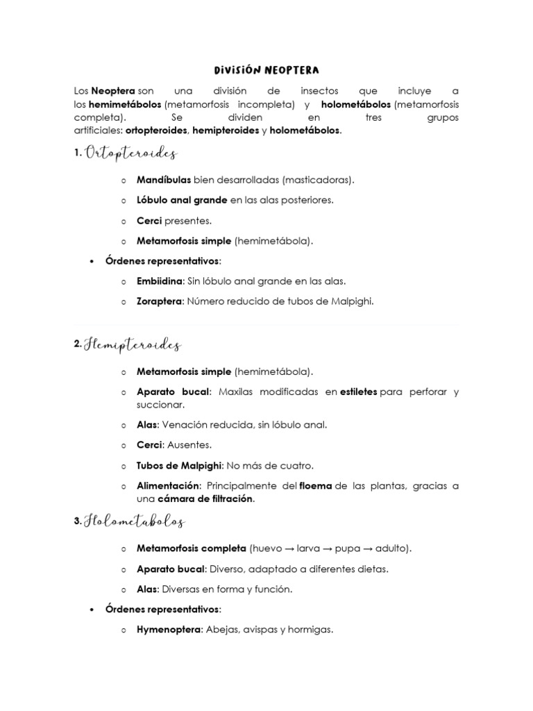 Clasificación de Neoptera en Insectos | PDF