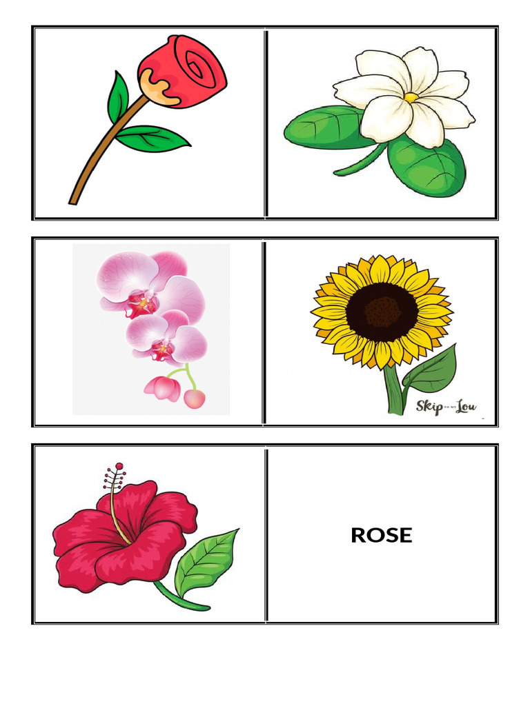 Flowers | PDF