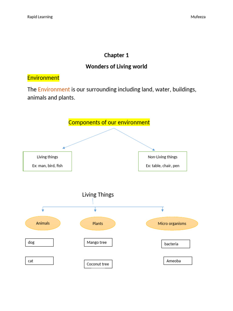Class1 Notes | PDF
