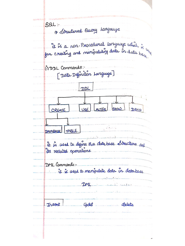 Cs CW SQL Notes | PDF