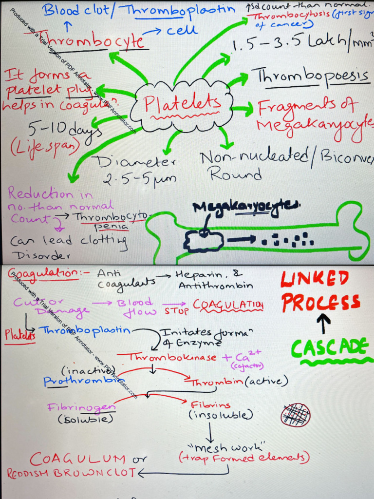 Body Fluids and Circulation | PDF