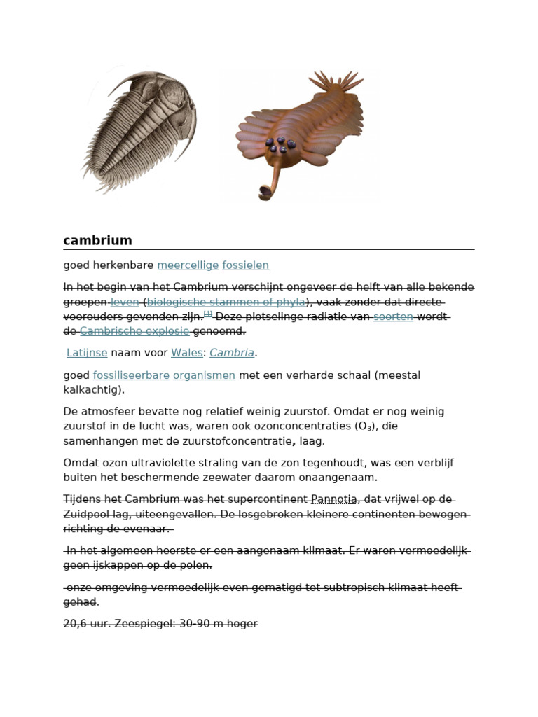 Cambrium | PDF