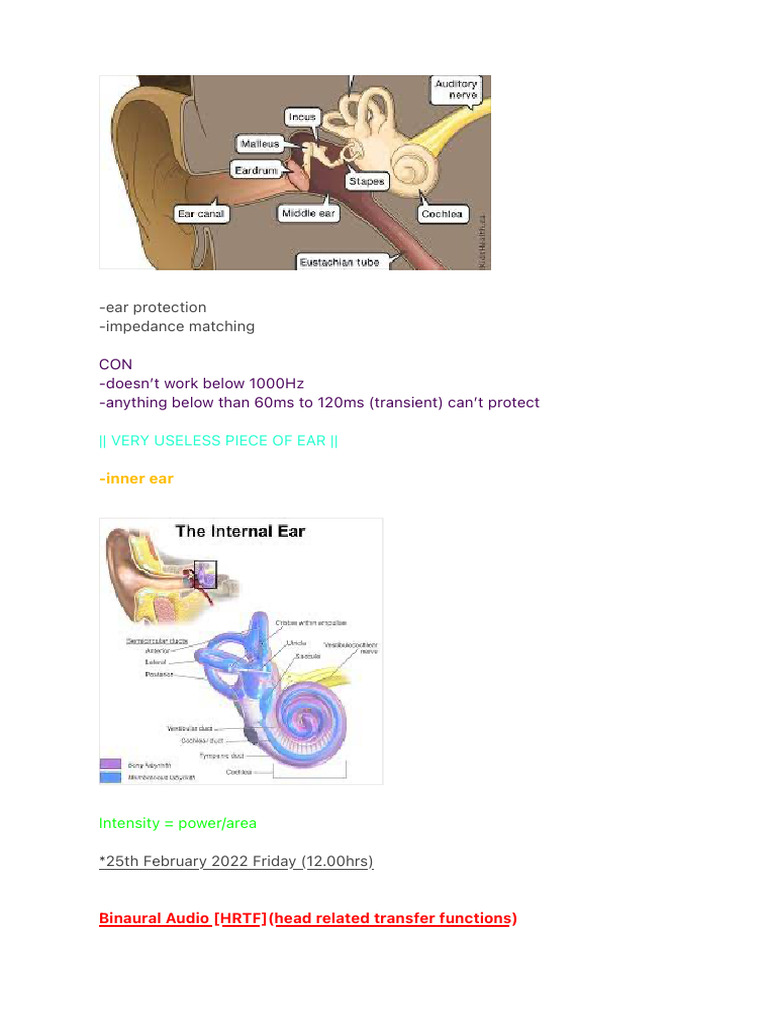 Ear Protection and Microphone Basics | PDF