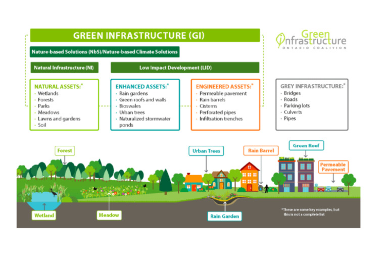 Green Infrastructure | PDF