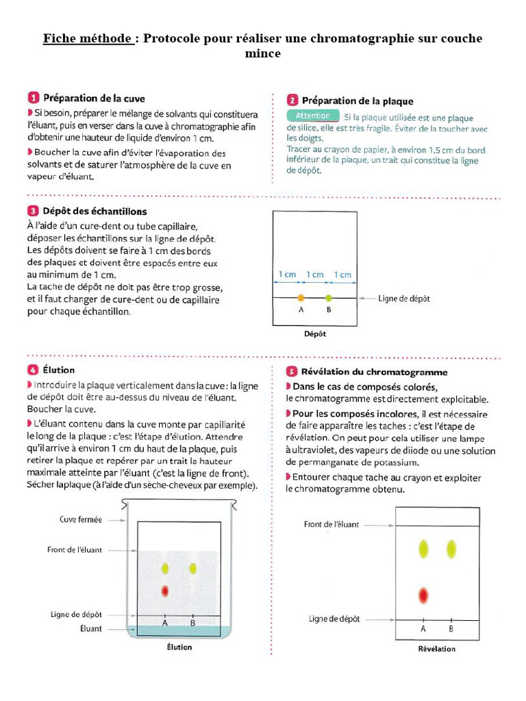 Fiche Méthode - Réaliser Une CCM | PDF