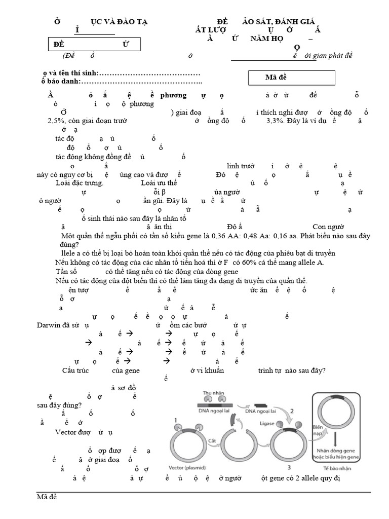 Ma de 0401 | PDF