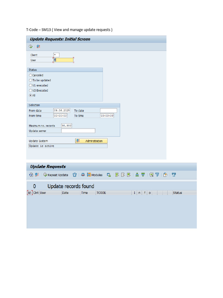 Essential SAP T-Codes for System Monitoring | PDF