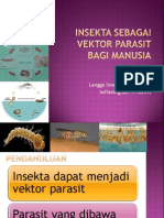 Insekta Yang Merugikan Bagi Manusia